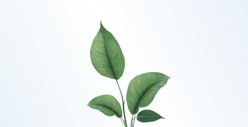 Экологический мониторинг окружающей среды