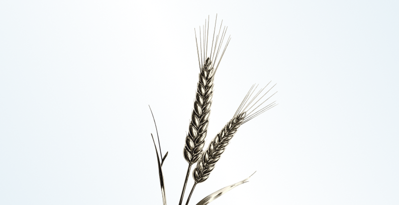 Пищевая промышленность, сельское хозяйство и экологический мониторинг