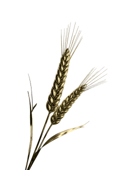 Пищевая промышленность, сельское хозяйство и экологический мониторинг